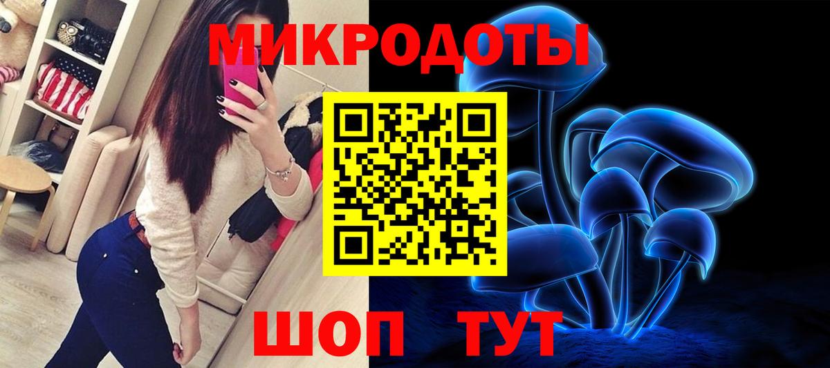 Псилоцибиновые грибы мухоморы Нарьян-Мар