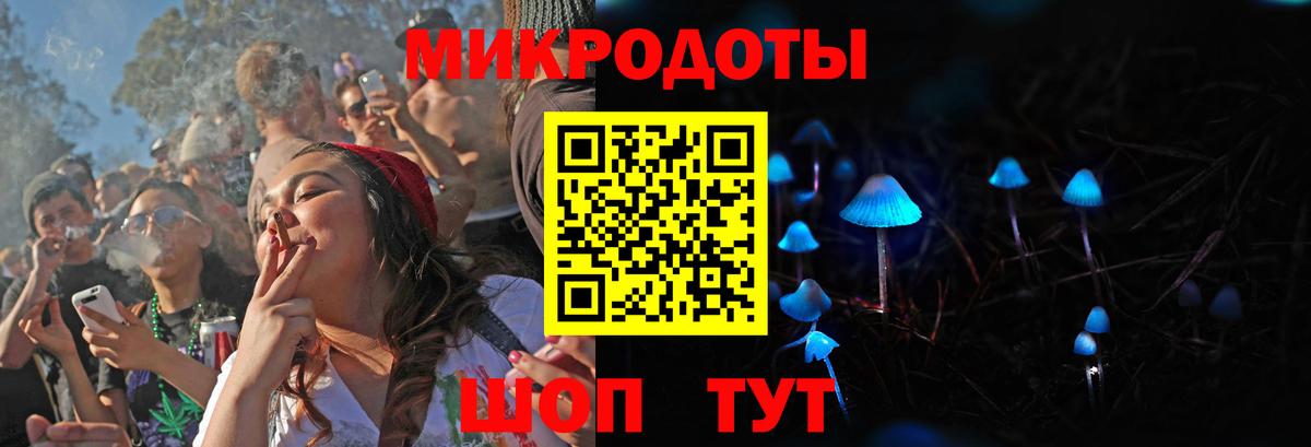 Галлюциногенные грибы Psilocybe  Вход с VPN  Нарьян-Мар 